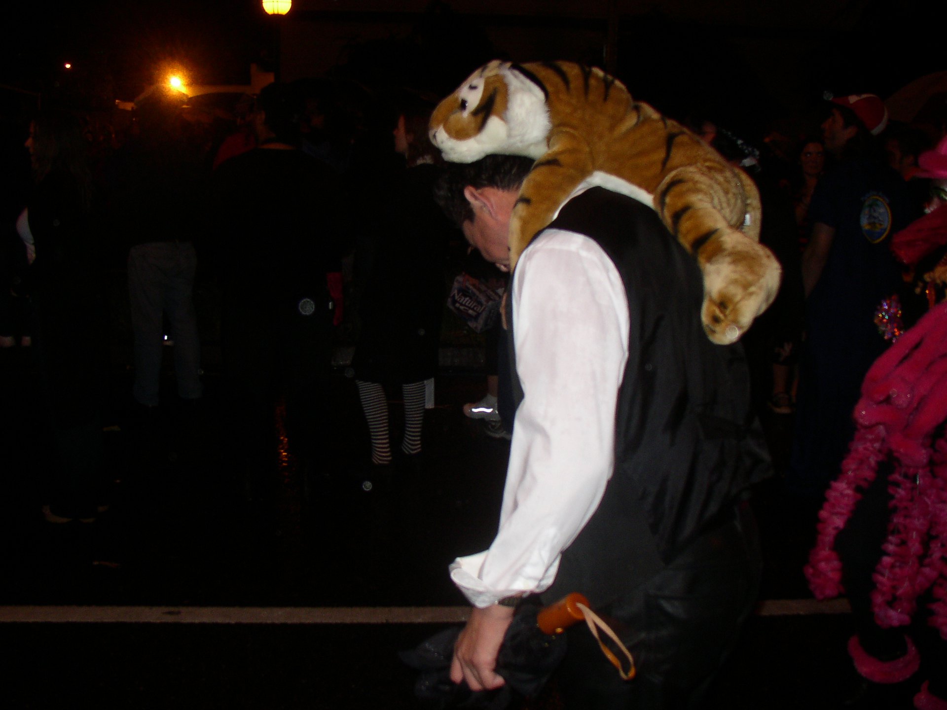 OLYMPUS DIGITAL CAMERA