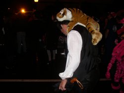 OLYMPUS DIGITAL CAMERA