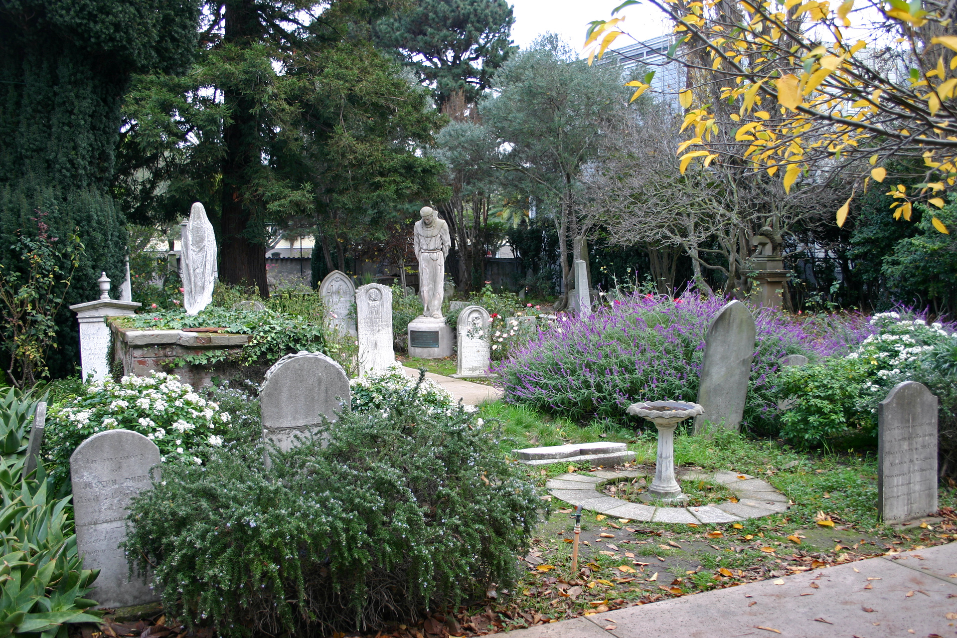 Old church cemetery